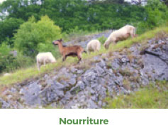 FAQ-Q1-photo2