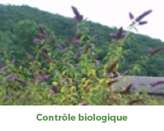 FAQ-Q1-photo5