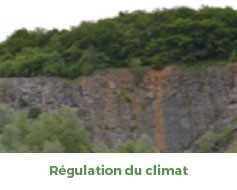 FAQ-Q1-photo6