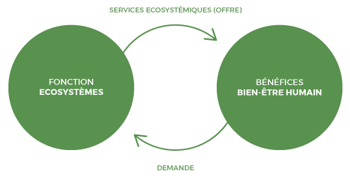 FAQ-schemaQ1