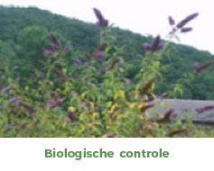 FAQ-Q1-photo5-NL
